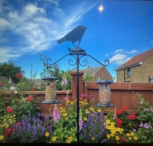 2 Arm Bird Feeder Robin Motif