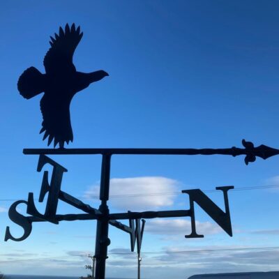 Flying Grouse Weathervane