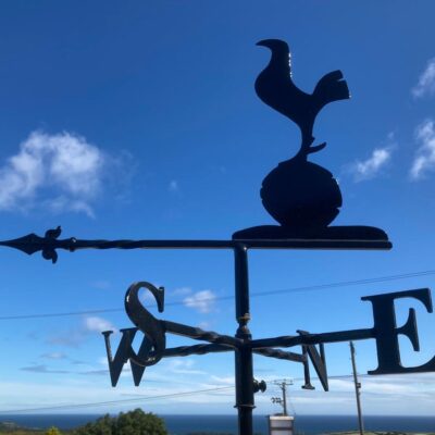 Tottenham Hotspur Emblem Weathervane