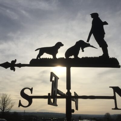 Shooter With 2 Labradors