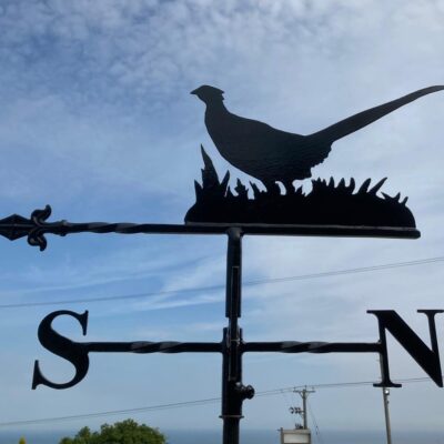 Pheasant With Tail Up Weathervane