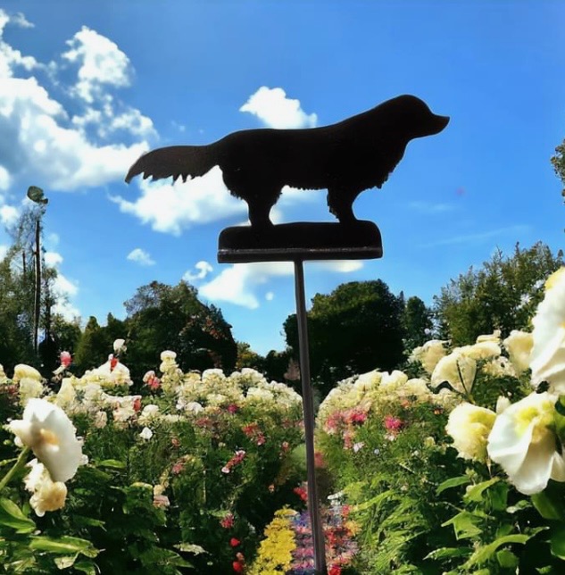 Dog Garden Stake Retriever